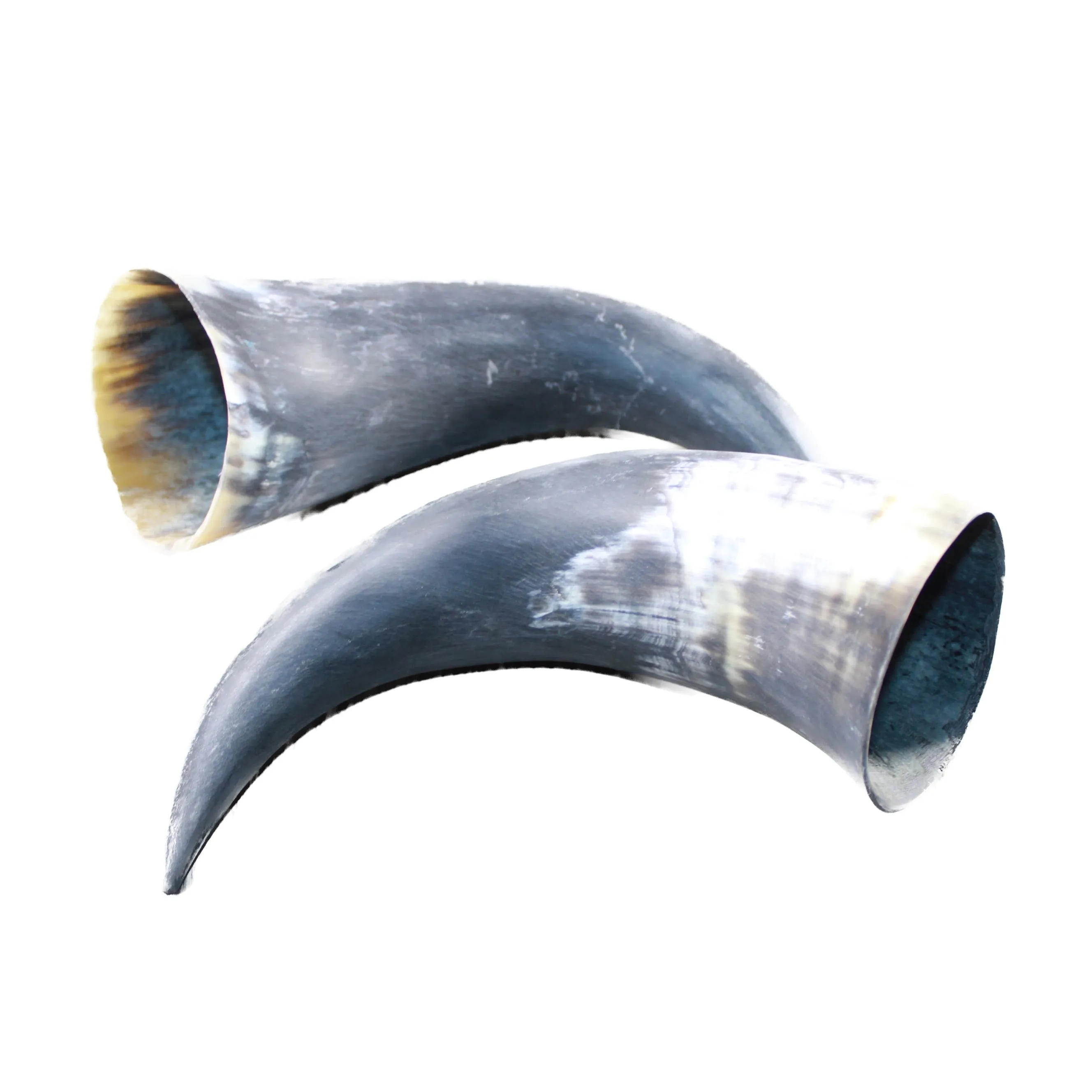 2 Raw Unfinished Cow Horns #054-1 Natural Colored