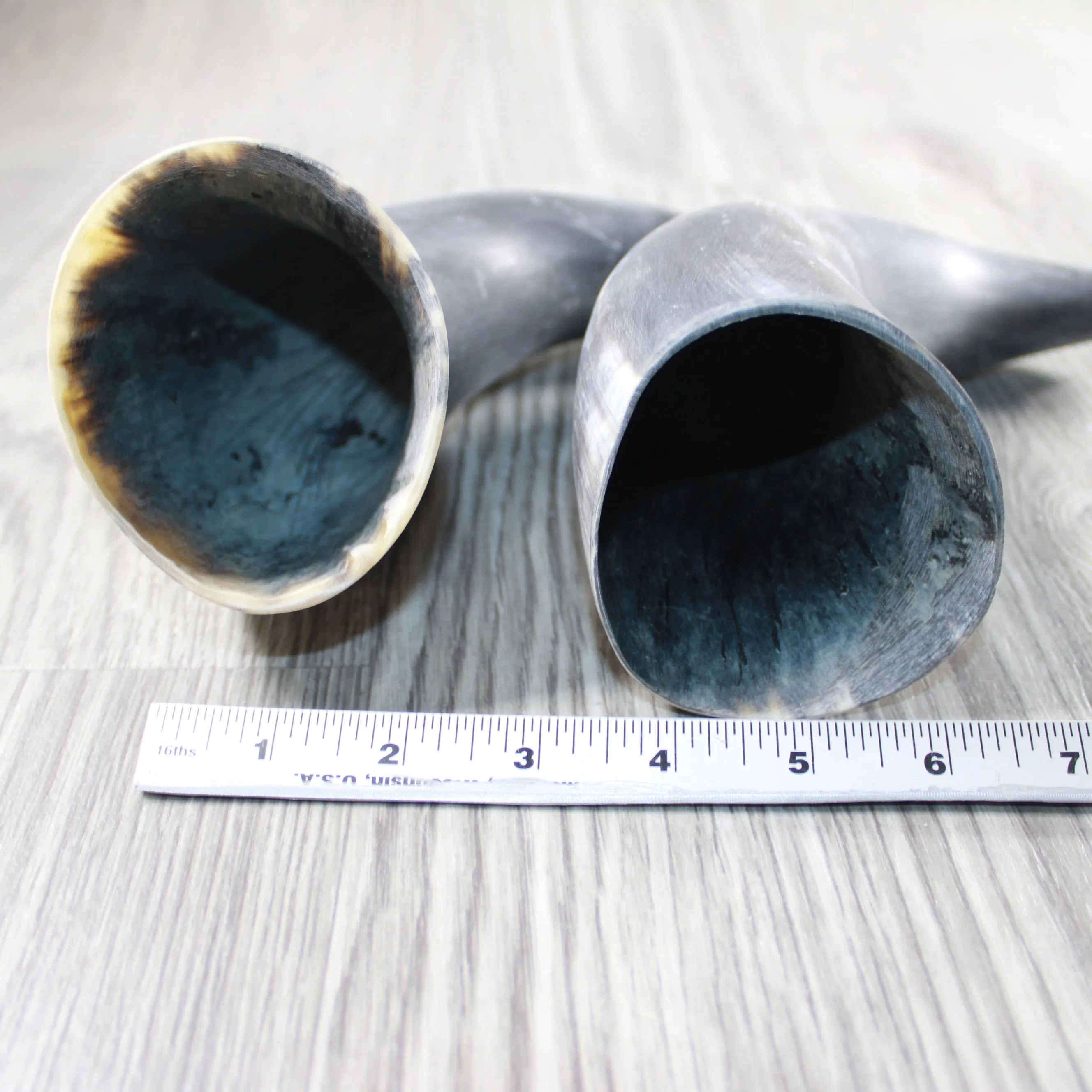 2 Raw Unfinished Cow Horns #054-1 Natural Colored