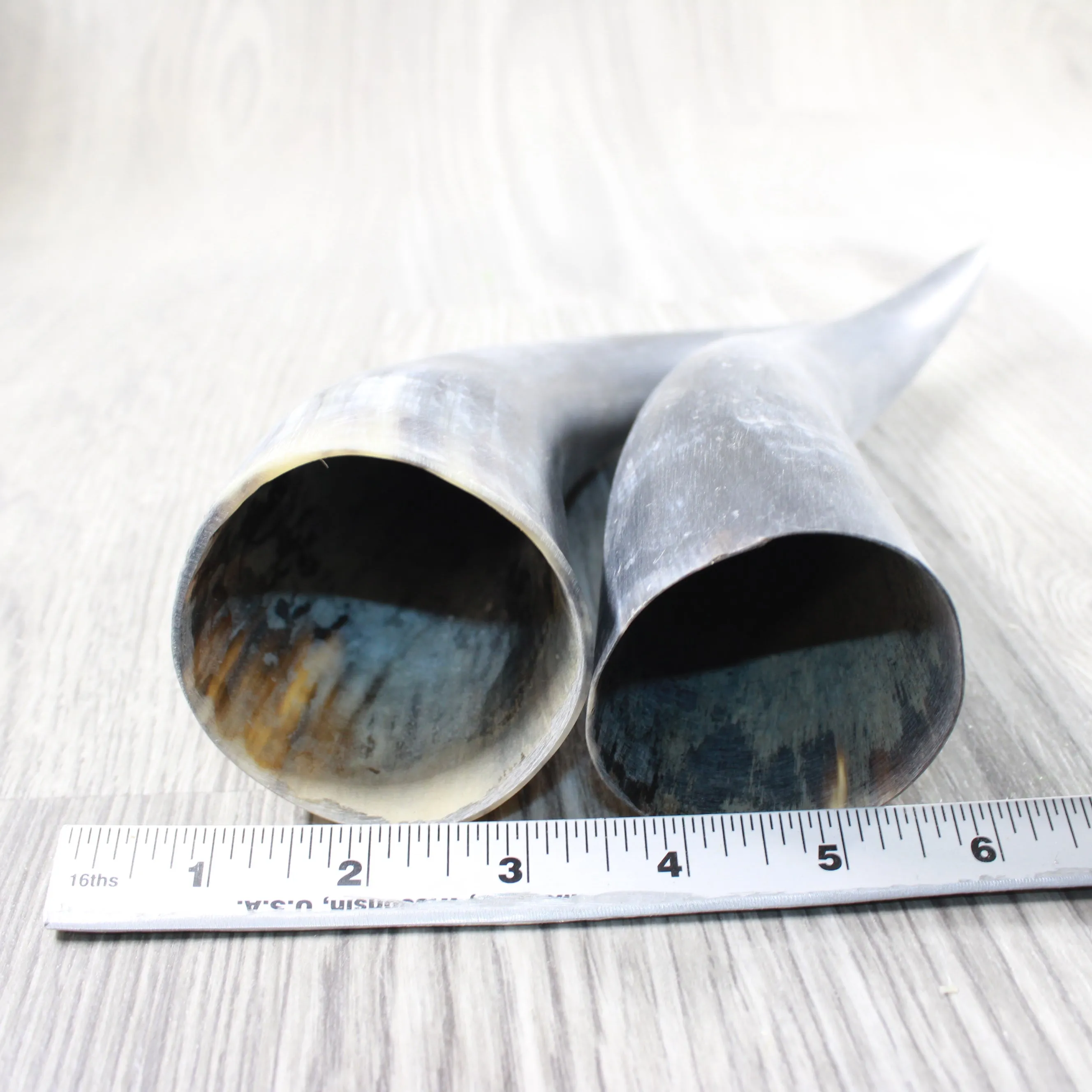 2 Raw Unfinished Cow Horns #404-2 Natural Colored