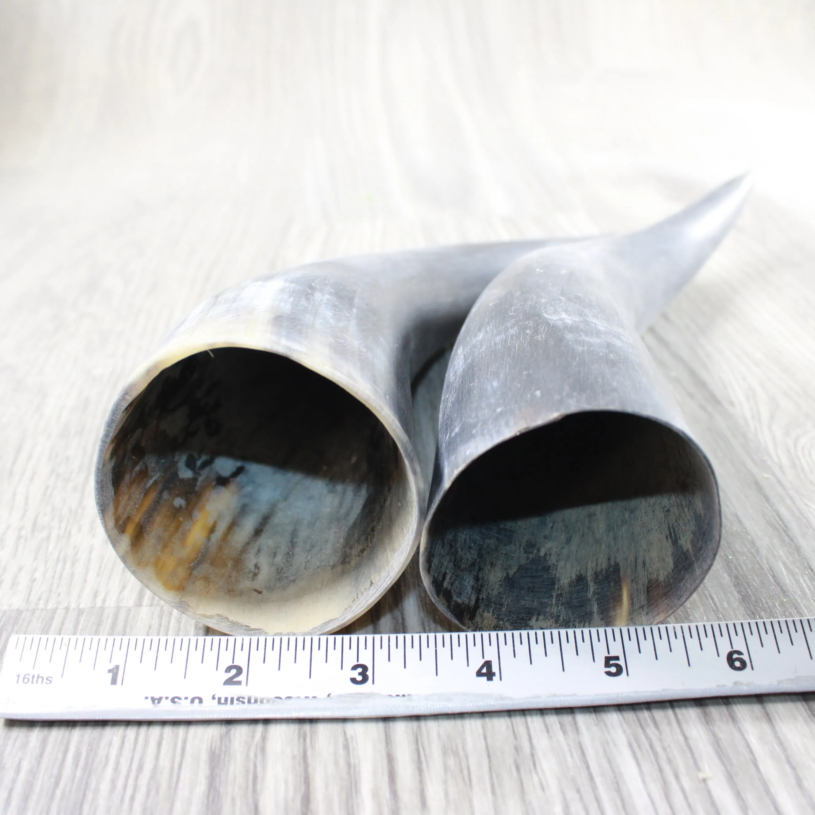 2 Raw Unfinished Cow Horns #404-2 Natural Colored