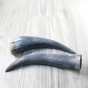 2 Raw Unfinished Cow Horns #404-2 Natural Colored
