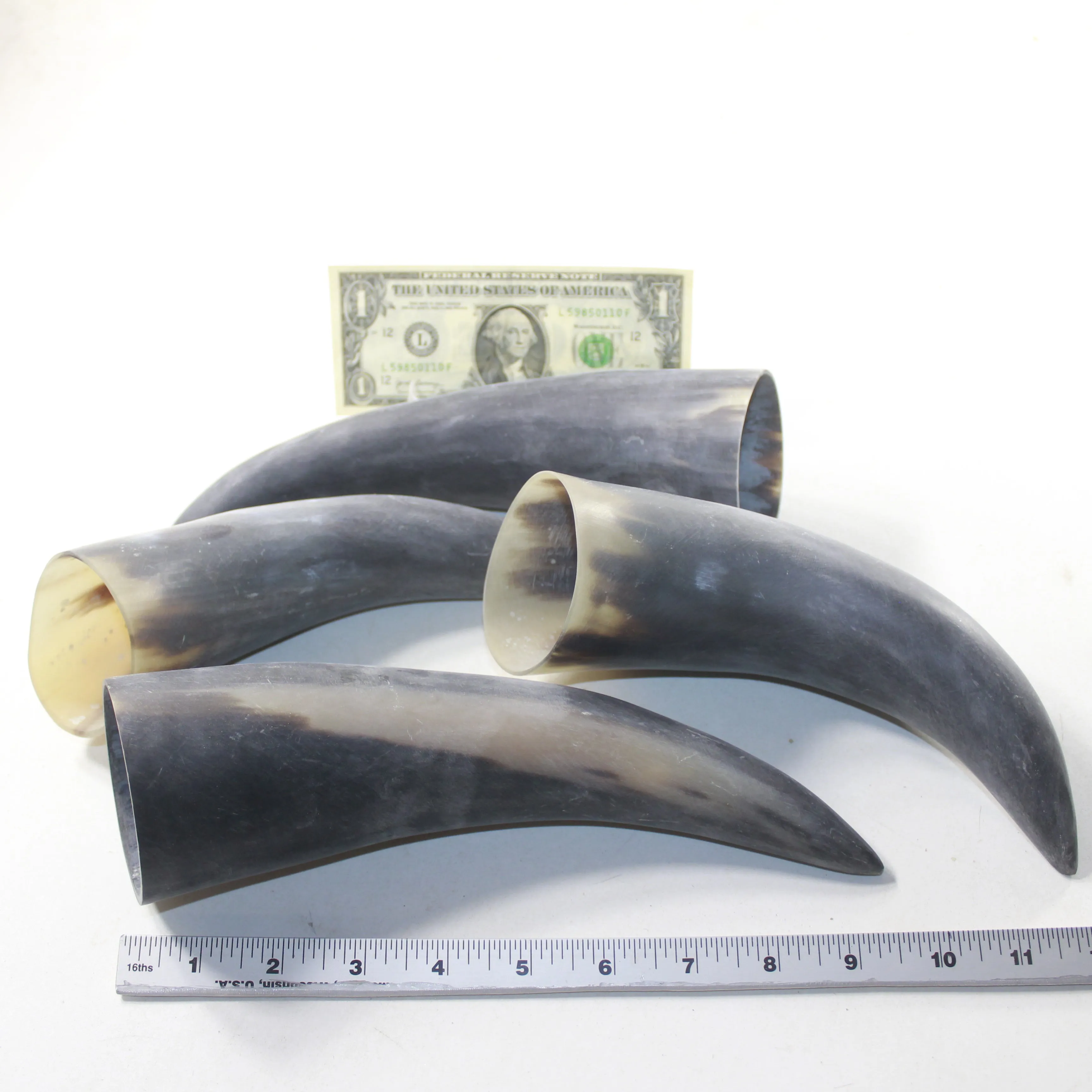 4 Raw Unfinished Cow Horns #9839 Natural Colored
