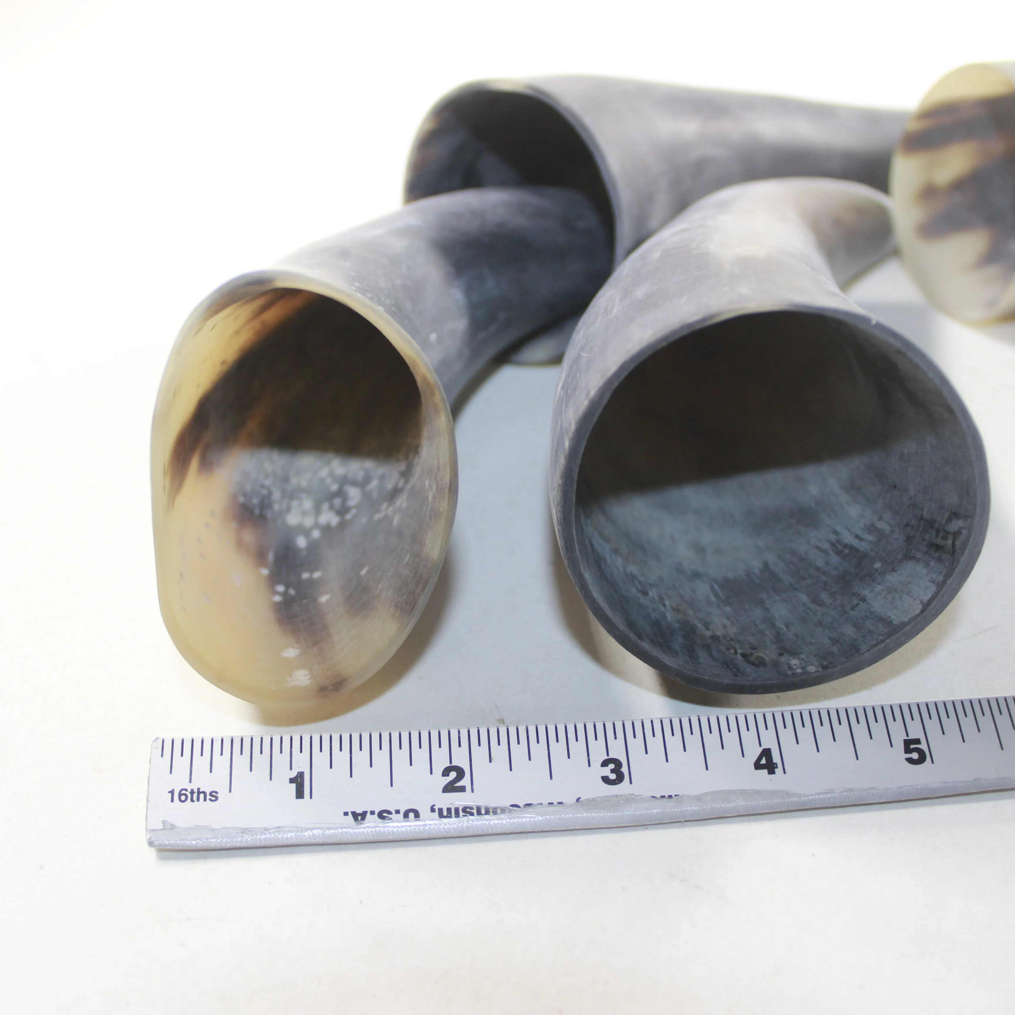 4 Raw Unfinished Cow Horns #9839 Natural Colored