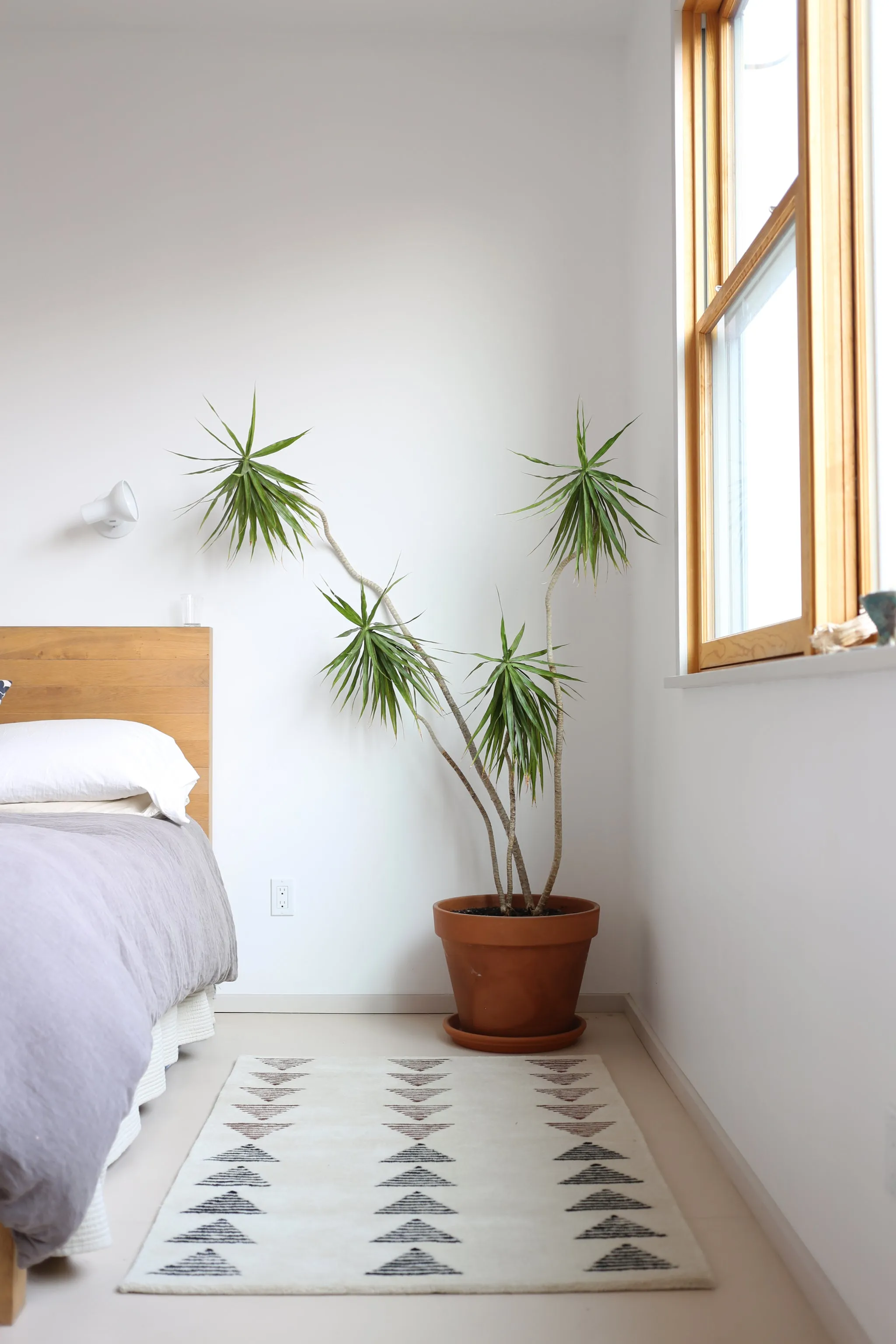 Arrow Rugs