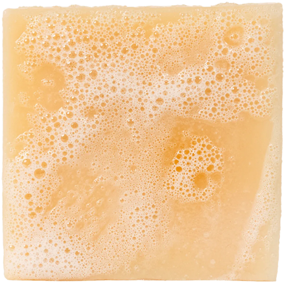 Bar Soap || Alpine Sage