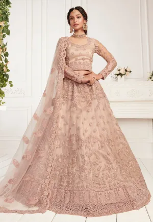 Blush Pink Embroidered Lehenga Choli