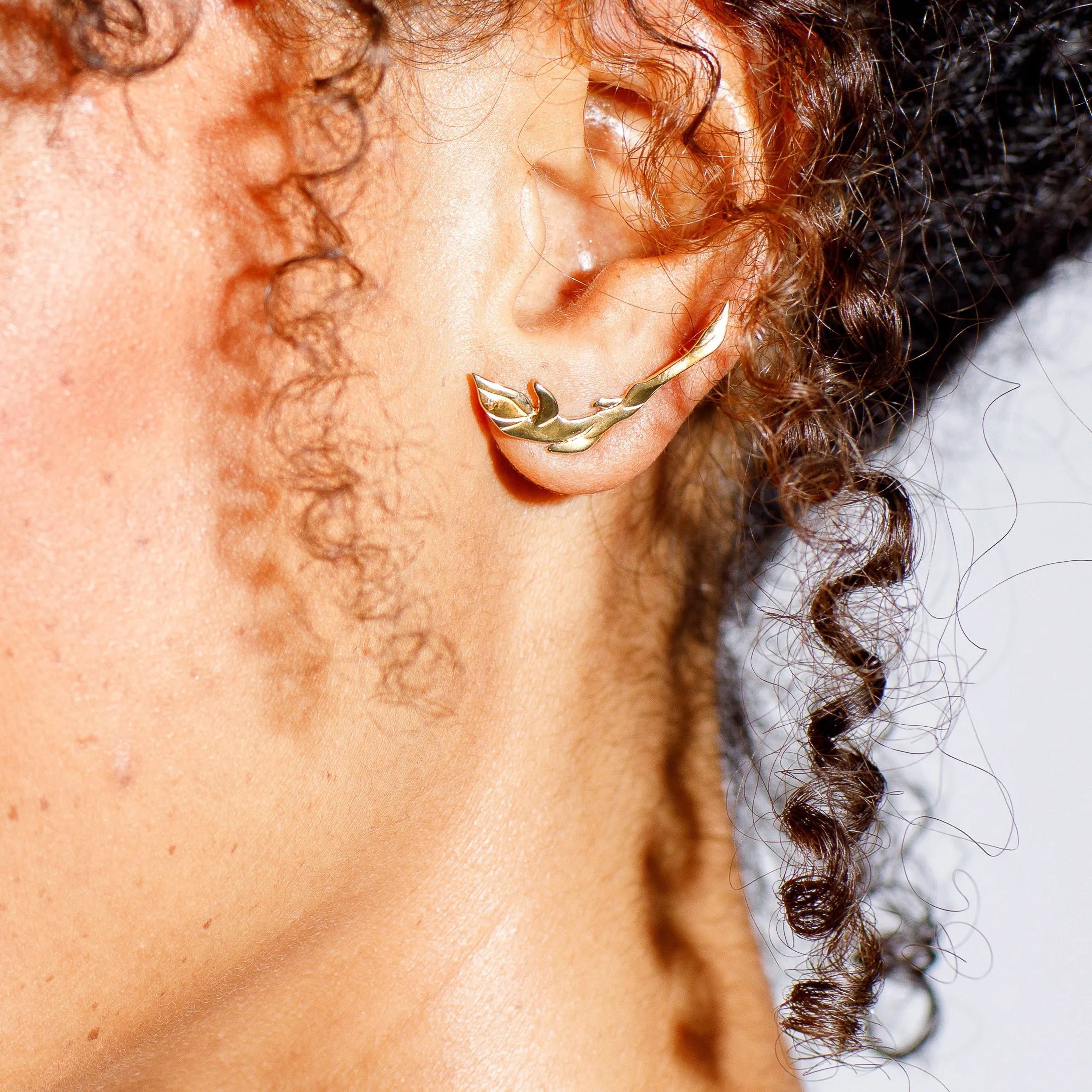 Climbing Vine Earrings