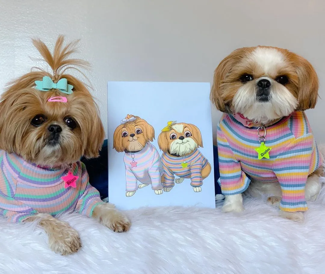 Custom PetToonies Canvas