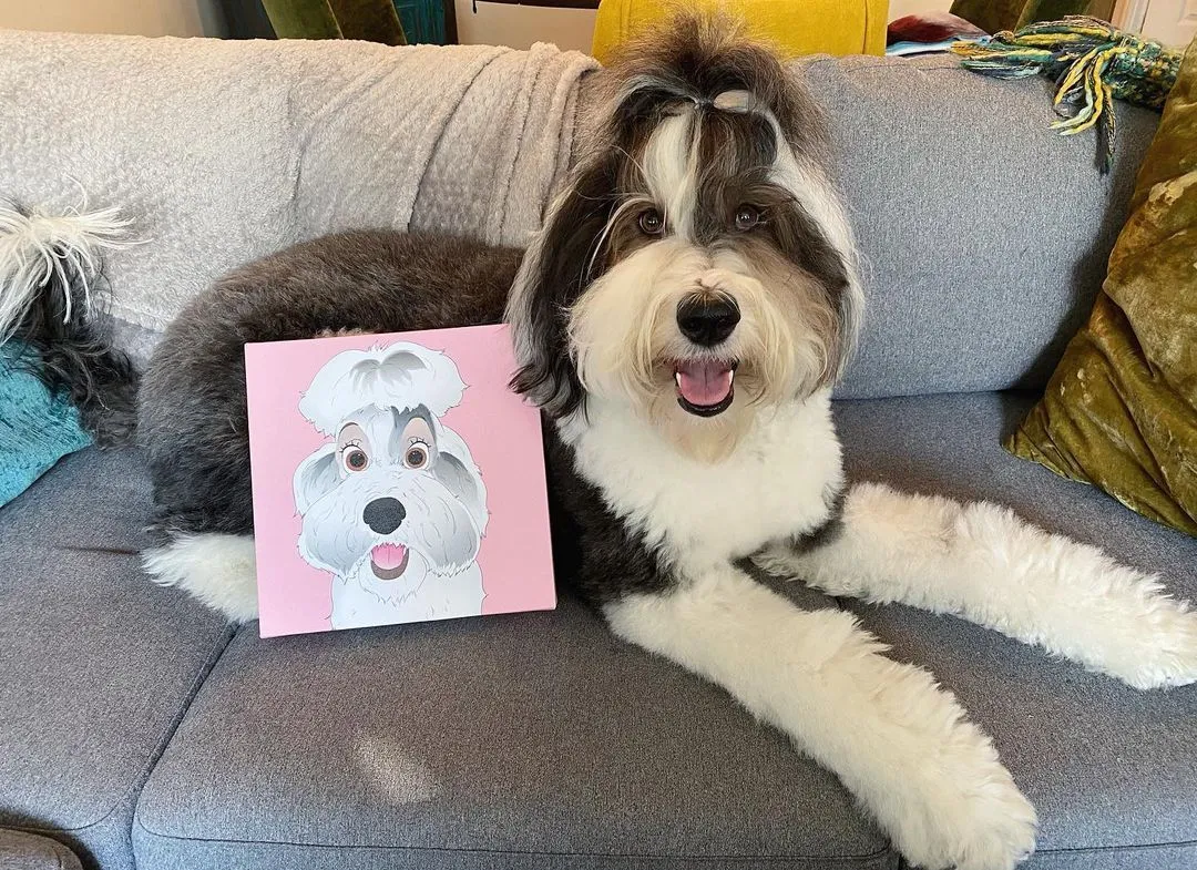 Custom PetToonies Canvas