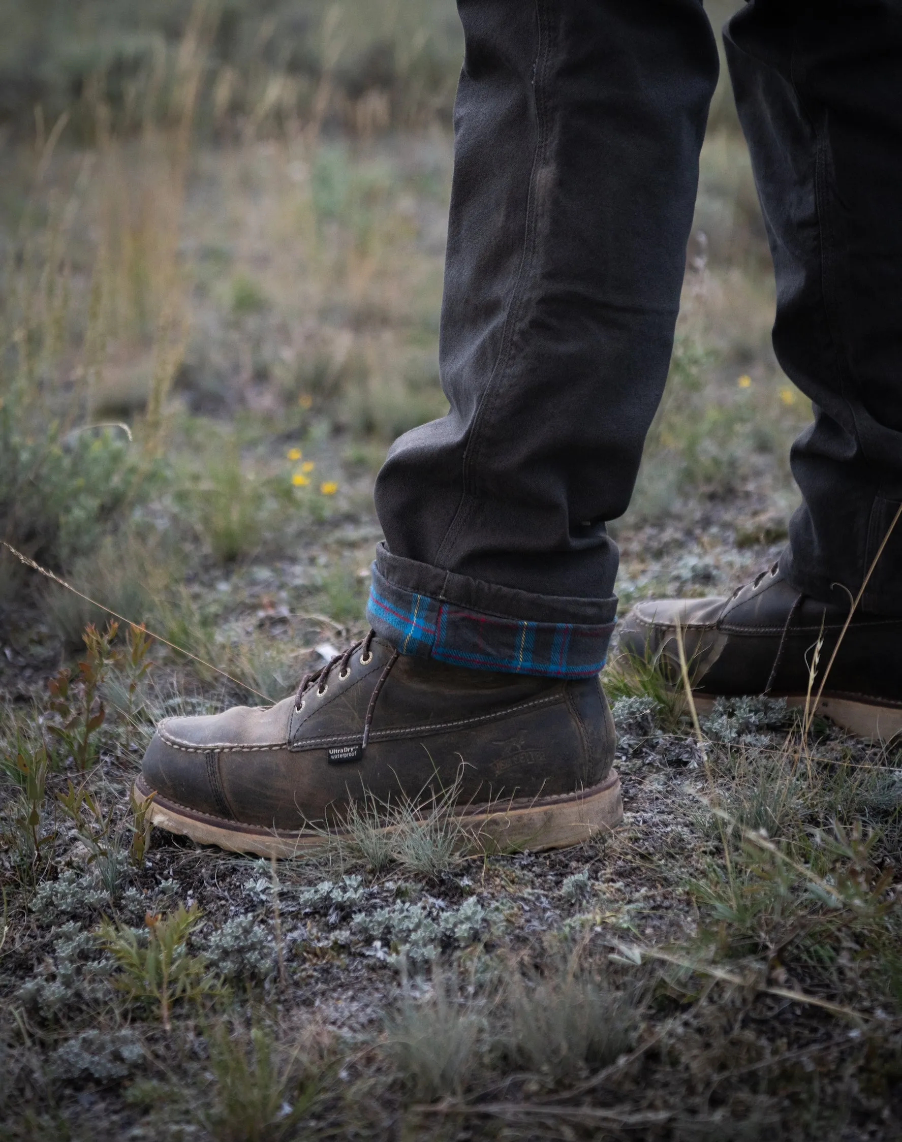 Men's Lined Mountain Pant | Parent