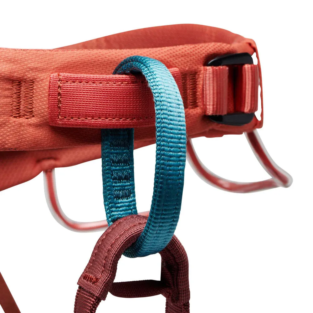 Momentum Harness W
