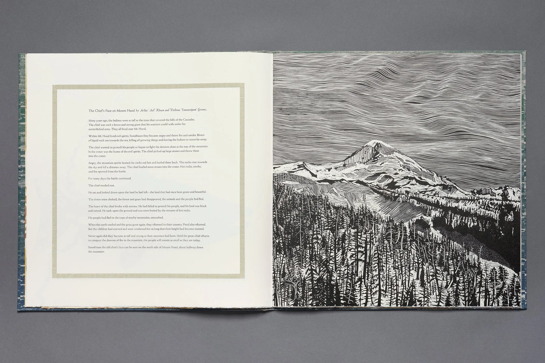 Owed to The Mountain by Diane Jacobs