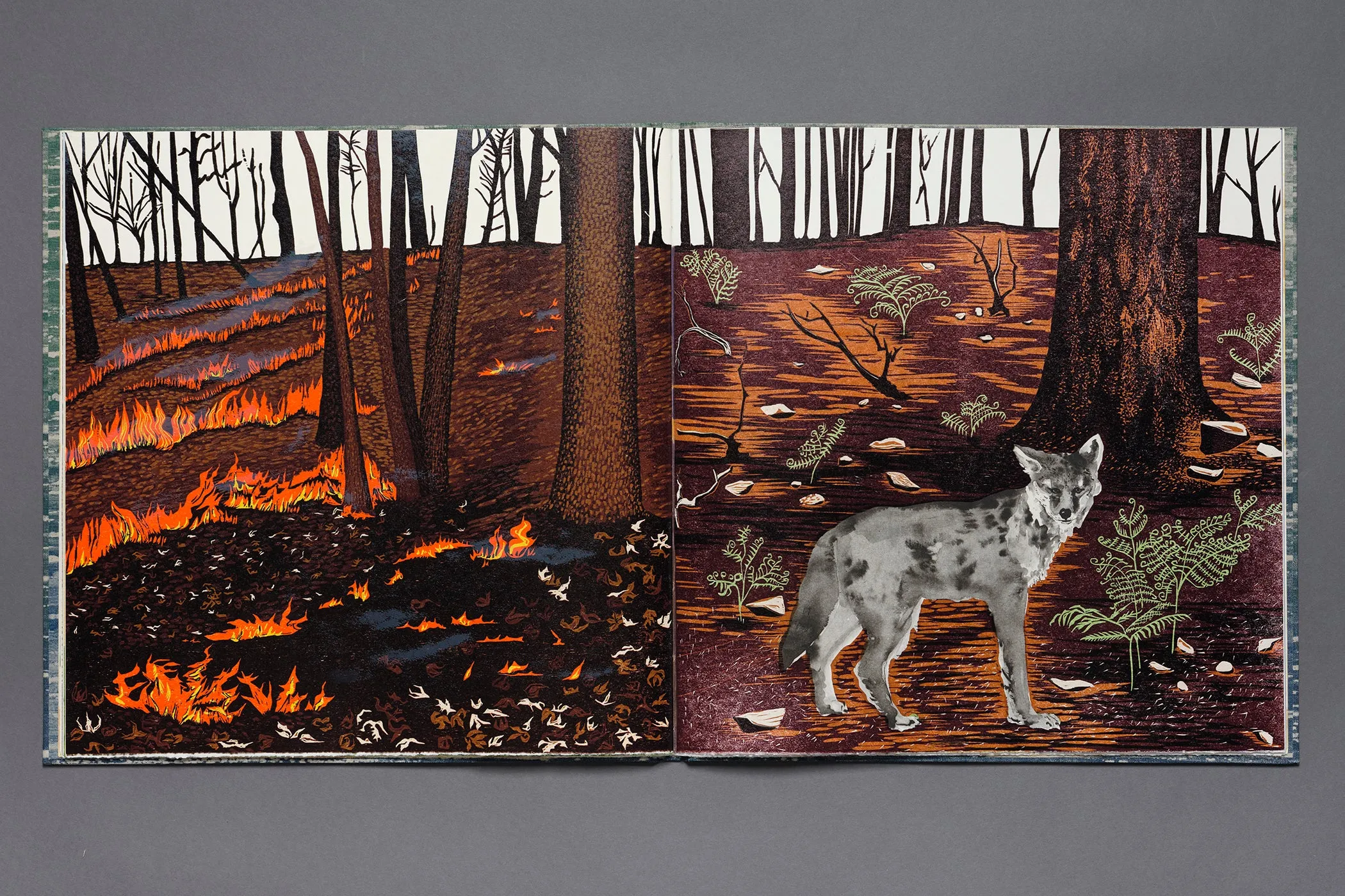 Owed to The Mountain by Diane Jacobs