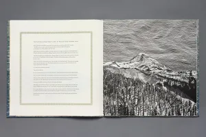 Owed to The Mountain by Diane Jacobs