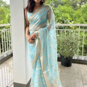 Pastel Blue Gorgeous Elegant Banarasi Kora Silk Saree