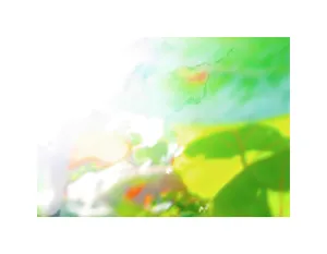 Photo Impressionism - Sea Grapes