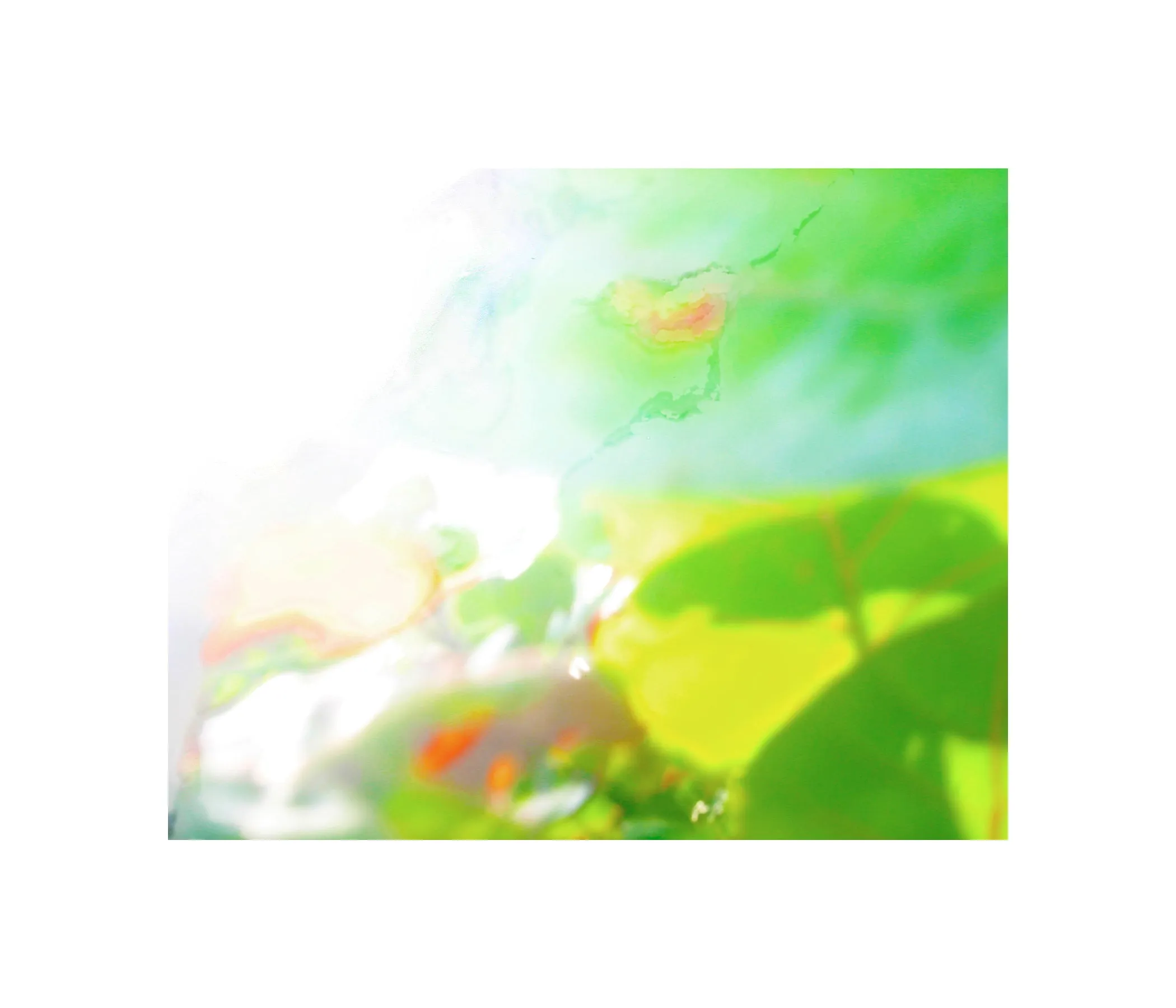 Photo Impressionism - Sea Grapes