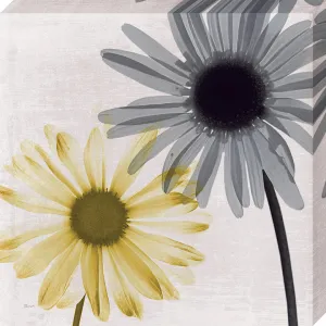Touched by the Sun III: Gallery Wrapped Canvas (2 Sizes)